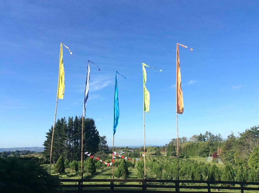 Flags on the farm